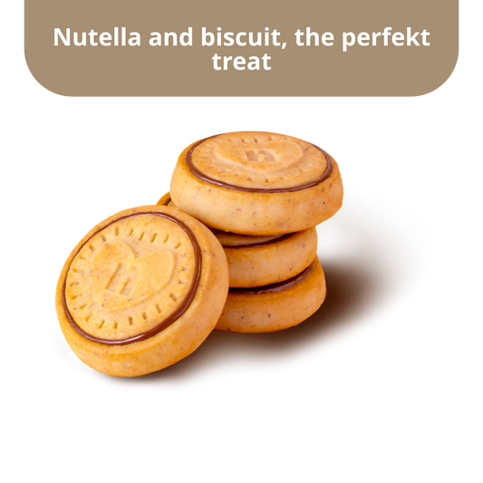 Nutella Biscuits Hazelnut Cream Filled Cookies | 304g