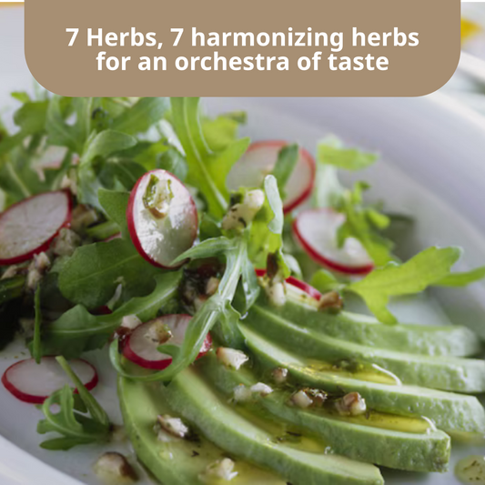 Knorr Salatkrönung 7 Kräuter Herbs Salad Dressing | 5X 8g