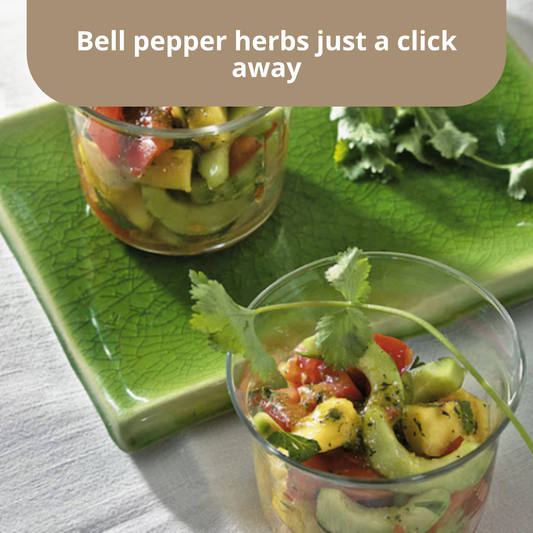 Knorr Salatkrönung Paprika Kräuter Bell Pepper Salad Dressing | 5X 9g